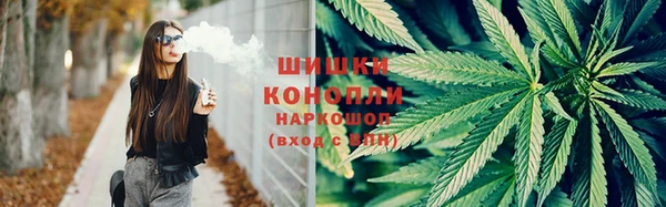 крисы Аркадак