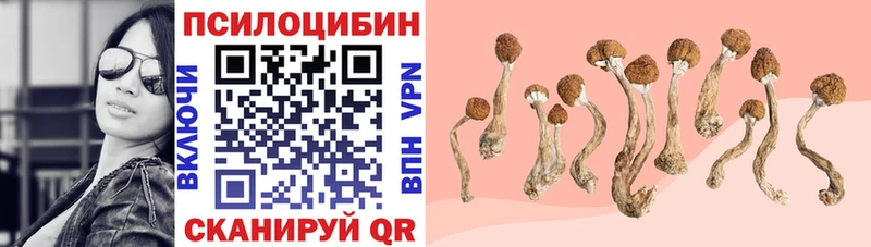 Галлюциногенные грибы GOLDEN TEACHER где найти наркотики Макарьев